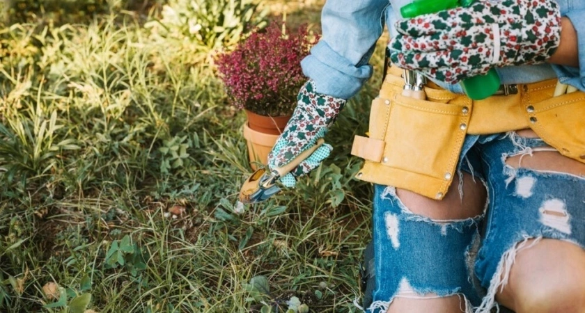 Вечная борьба с сорняками окончена: биолог поделилась неожиданным способом - химия не нужна