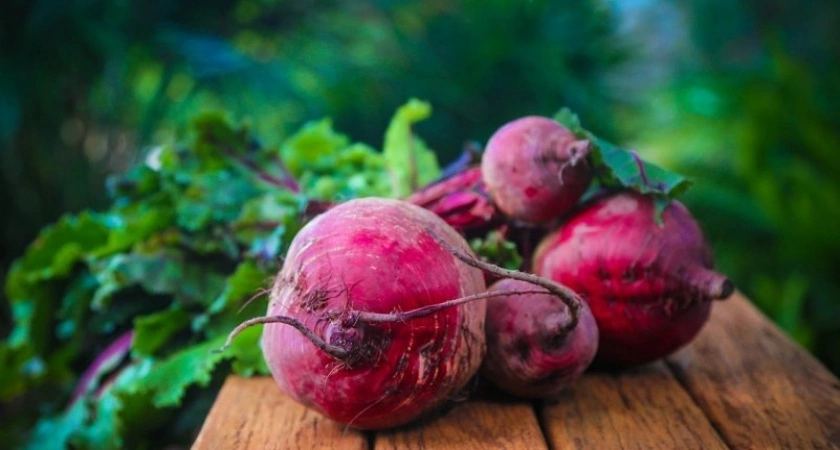 2 ложки на ведро, и свеклу не остановить: корнеплоды попрут как бешеные - рецепт мощной подкормки