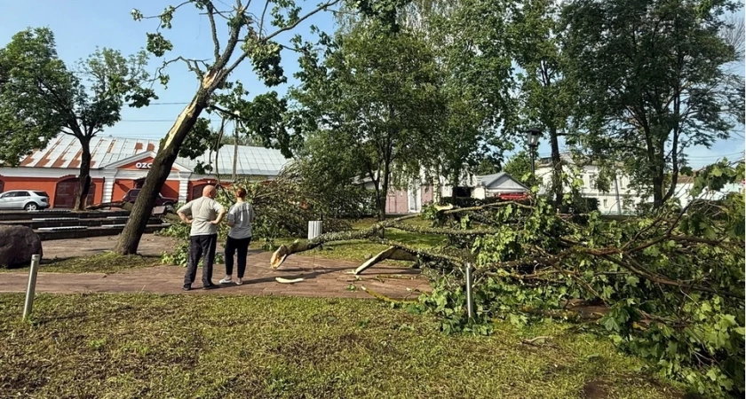 В Юрьев-Польском ураган вырвал с корнем деревья и повредил крыши