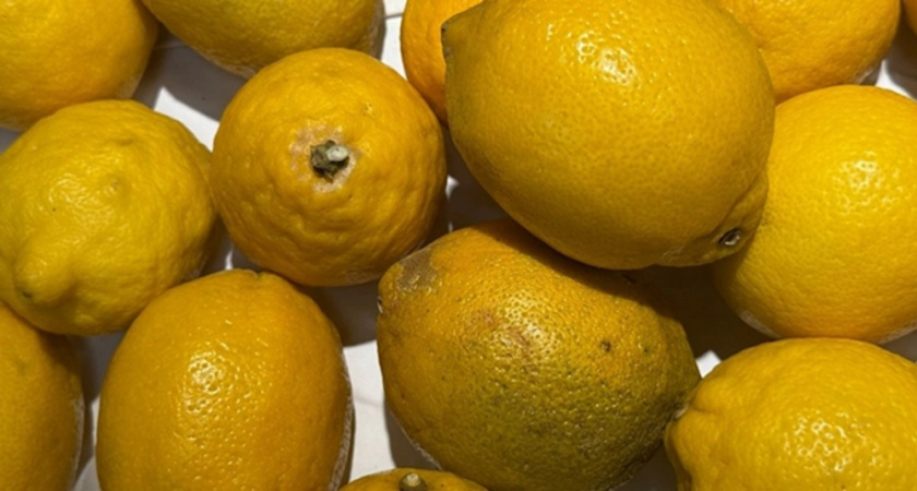 Разрезанный лимон всегда будет свежим: хитрость от опытных хозяек 