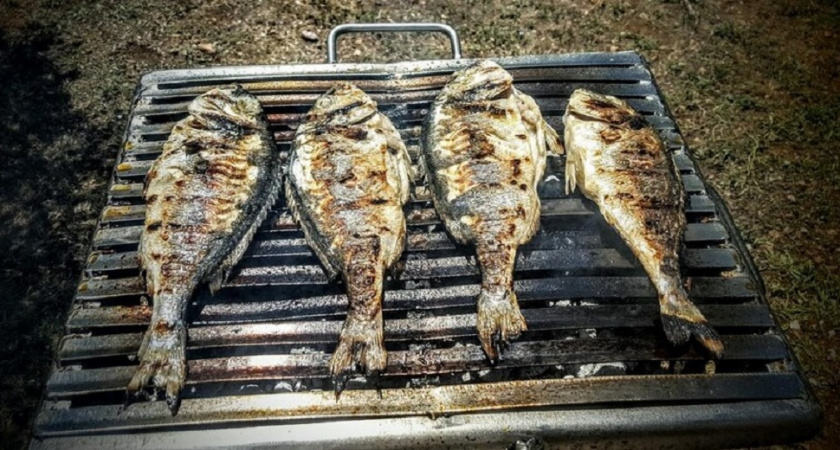 Отрава на тарелке, а не рыба: летом ее жарят на каждом пикнике - не жарьте это на мангале 