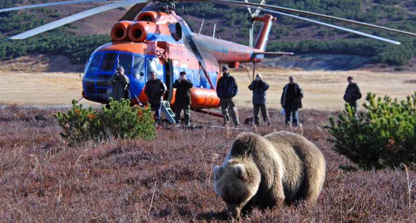 Стартовали съемки нового семейного фильма о животных