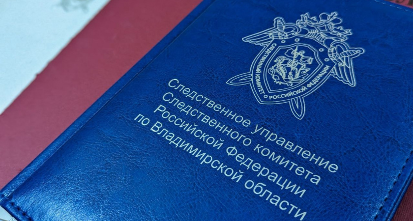 ФСБ пресекла деятельность экстремиста в Кольчугине и Владимире