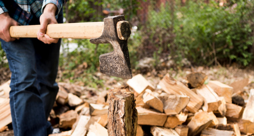 В Гороховце лесопользователь заплатил 2,3 млн рублей за незаконную рубку 160 деревьев