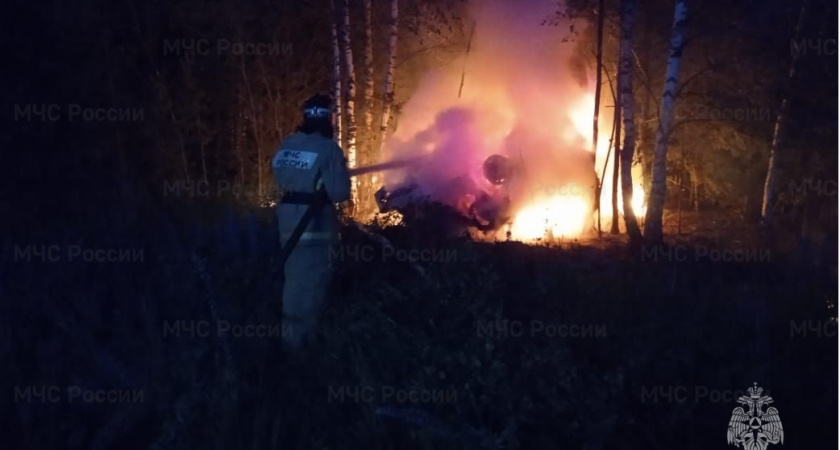 В Меленковском районе автомобиль вылетел в кювет и загорелся