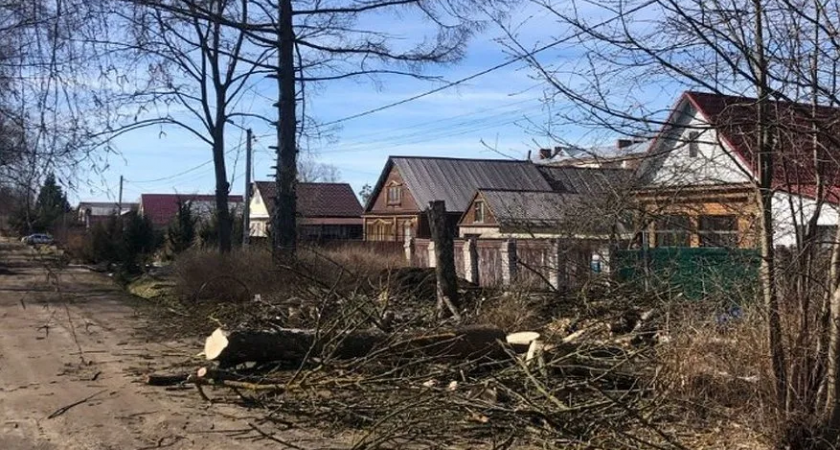 В Собинском округе ликвидировали свалки порубочных остатков