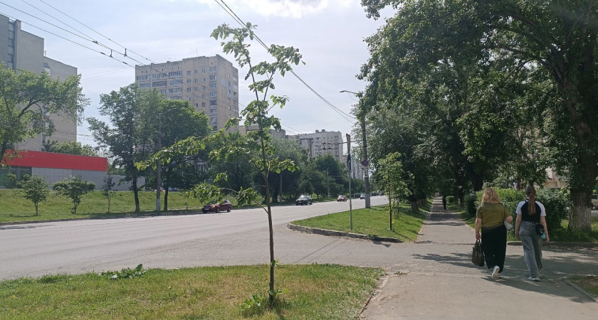 "Прольется денежный дождь": 3 знака Зодиака разбогатеют этим летом