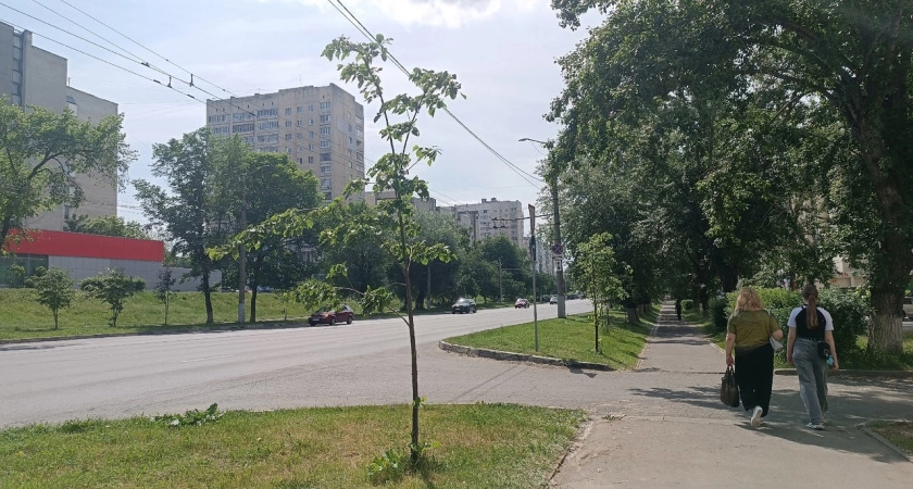 Фото к статье: "Прольется денежный дождь": 3 знака Зодиака разбогатеют этим летом