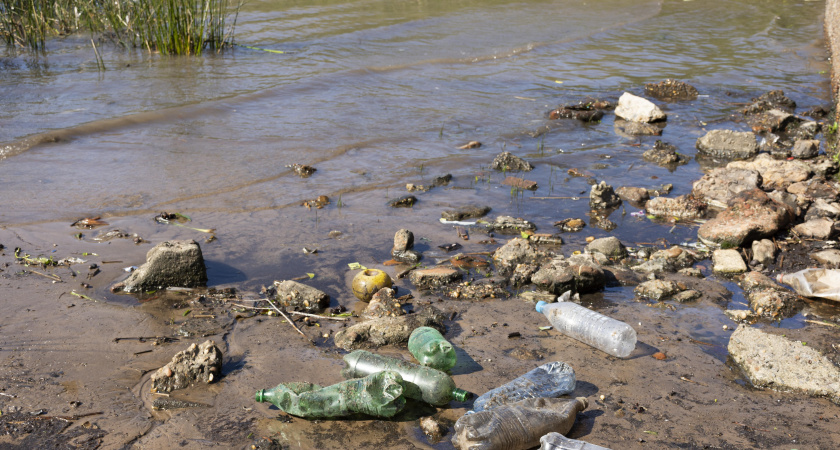 Прокуратура Владимира начала расследование загрязнения реки