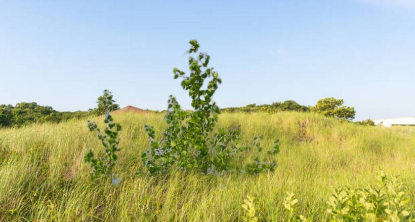 Собственников запущенных участков во Владимирской области продолжают штрафовать