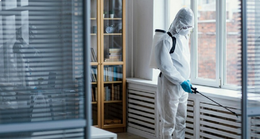 Тараканы больше не будут мучить вас благодаря этому фрукту: как просто и быстро избавиться от вредителей