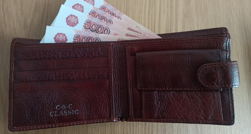 Меленковские правоохранители задержали мужчину, укравшего деньги у пенсионерки