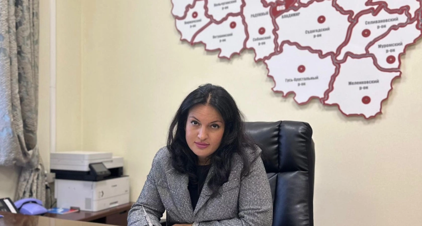 Фото к статье: Во Владимирской области назначили нового первого замминистра здравоохранения
