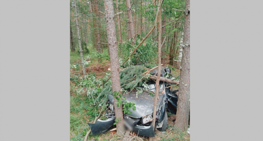 В Гусь-Хрустальном районе водитель легковушки въехал в дерево и погиб 