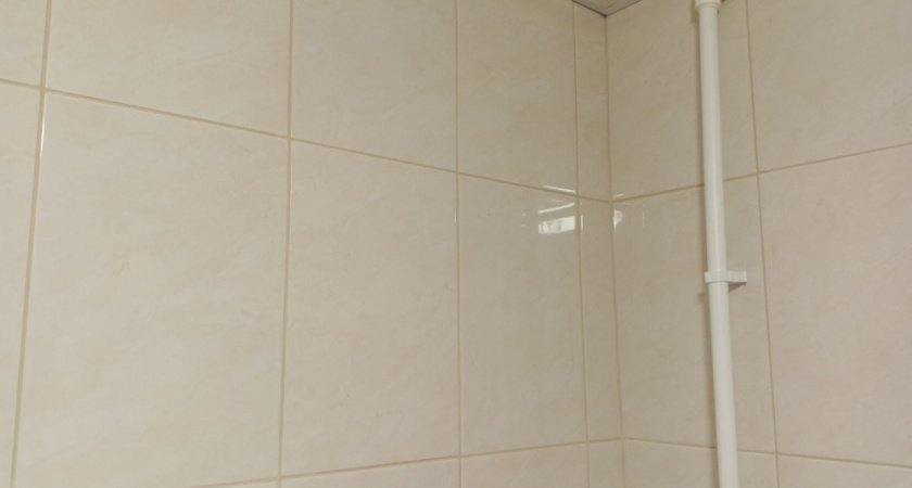 Избавляемся от черной плесени на плитке с помощью одного простого лайфхака: на заметку хозяйкам