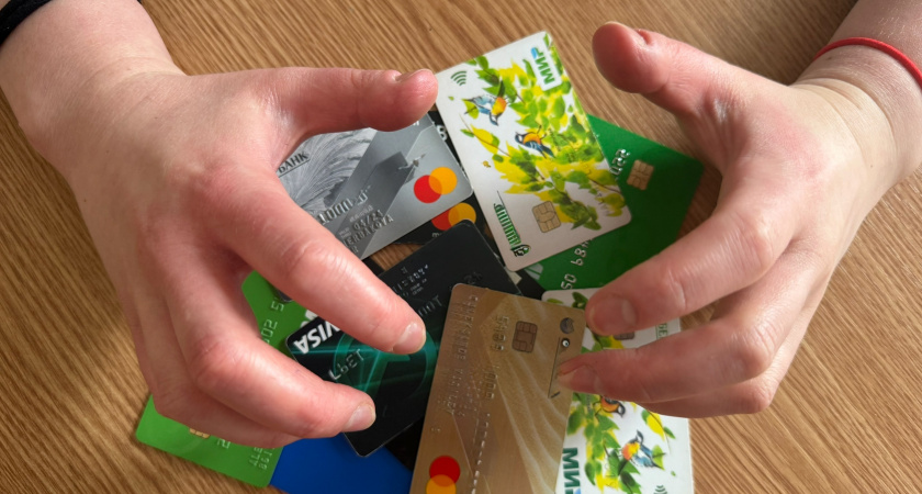 Полиция Владимирской области возбудила 65 дел по интернет-мошенничеству