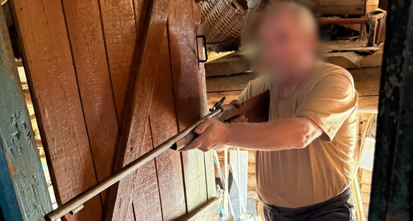 В Гороховецком районе мужчина застрелил соседа из пневматики из-за собаки