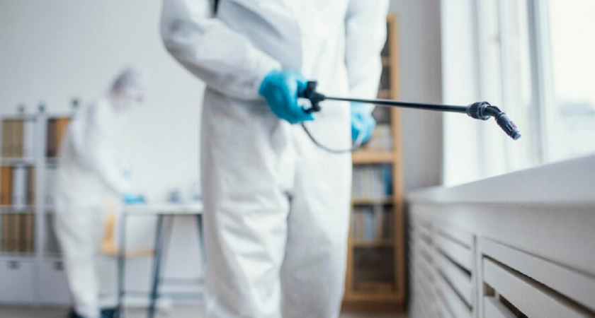 Экологичное решение проблемы клопов: смешала в бутылке два домашних продукта - и квартира чиста за 24 часа