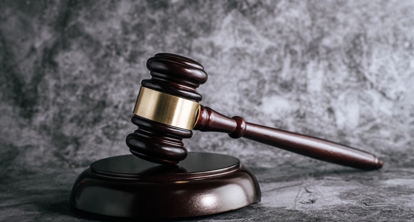 Просроченный ответ на спил дерева обернулся штрафом для чиновника Собинки