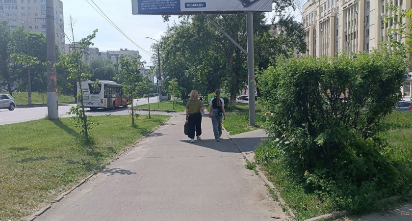 Главные везунчики месяца: что звезды приготовили для каждого из знаков зодиака во второй половине июля-2025