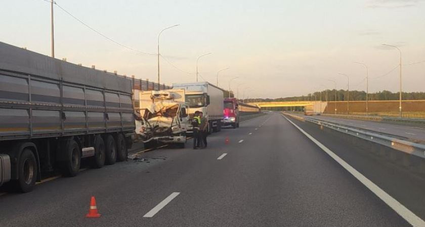 Во Владимирской области за неделю погибли 8 человек в дорожных авариях