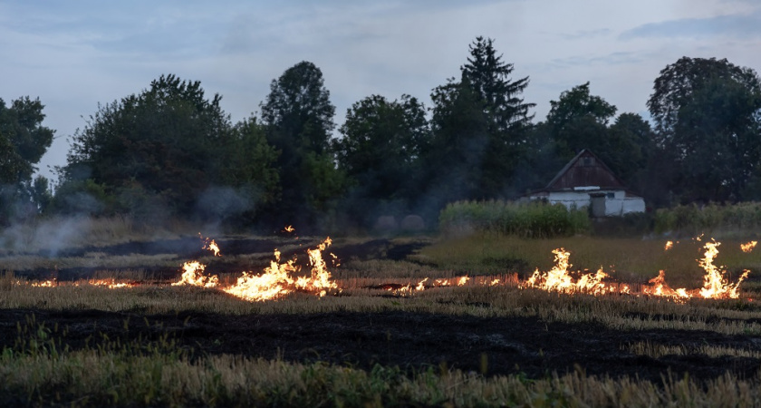 Во Владимирской области сгорело более 700 гектаров лесов и полей