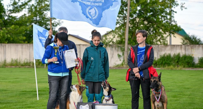 Собаки Владимирской области взяли медали на Кубке России по дрессировке