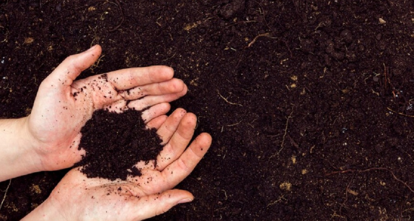 Две грубейшие ошибки при компостировании, которые совершают большинство дачников: как за пару месяцев приготовить идеальный компост