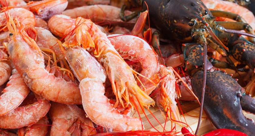 Не только креветки: ученые назвали самые полезные морепродукты - польза для здоровья неоценима 