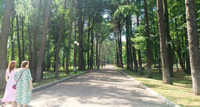 Жара или ливни: какая погода нас ждет на последней неделе июля - новый прогноз