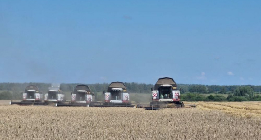 Владимирские аграрии начали жатву с высокой урожайностью