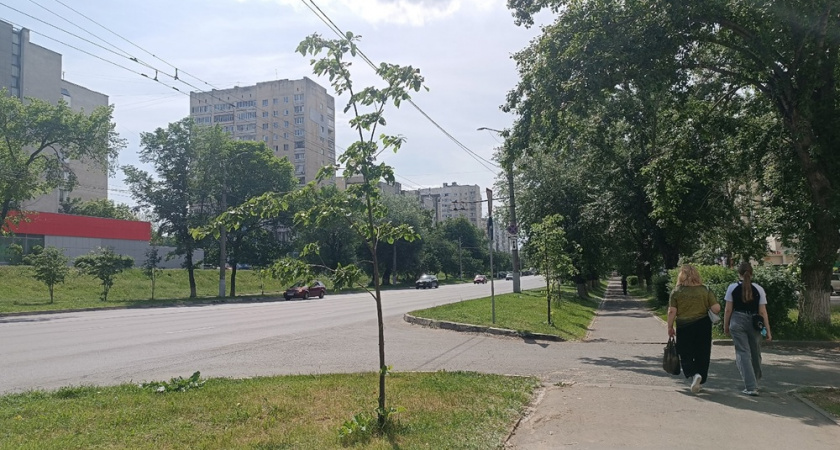 Обладателям цифр 3, 7, 2, 9 в дате рождения: вот что ждет их в августе