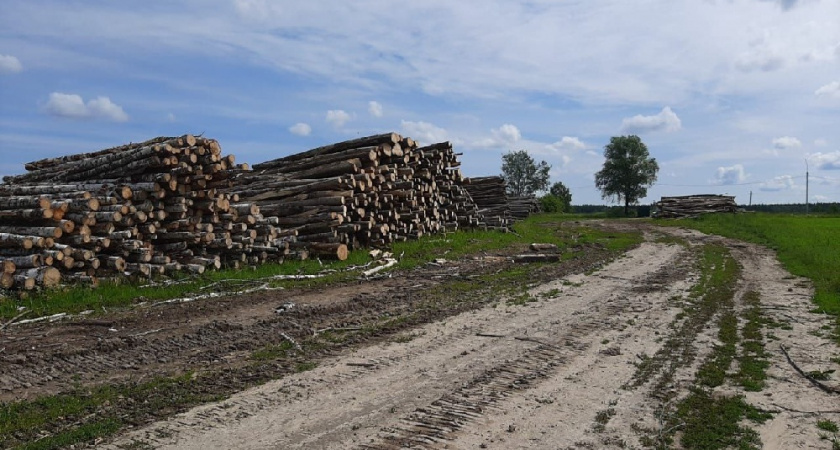 В Меленковском районе пресекли незаконное складирование древесины