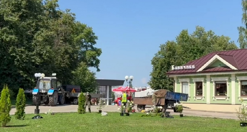 Спасский холм во Владимире украсили 9 туй и 18 гортензий