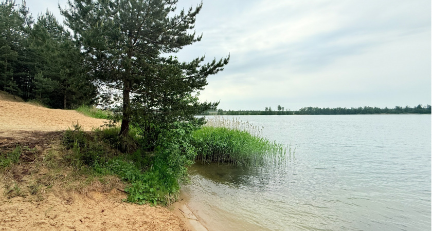 Во Владимирской области погибли на воде 2 человека за сутки