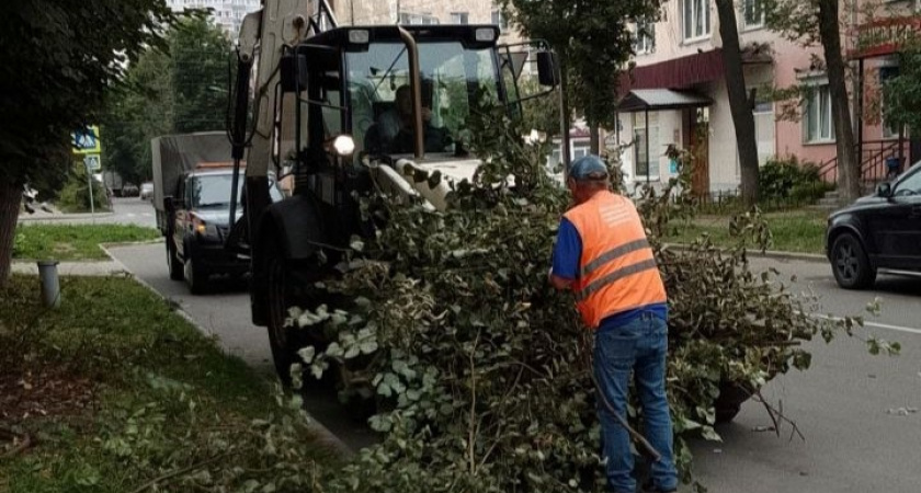 Владимирцы увидели результаты круглосуточной работы коммунальных служб