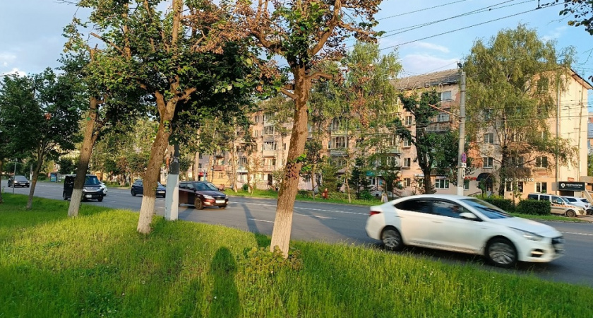 Ваш автомобиль могут остановить: сигналы, привлекающие внимание полиции - что нужно знать водителям