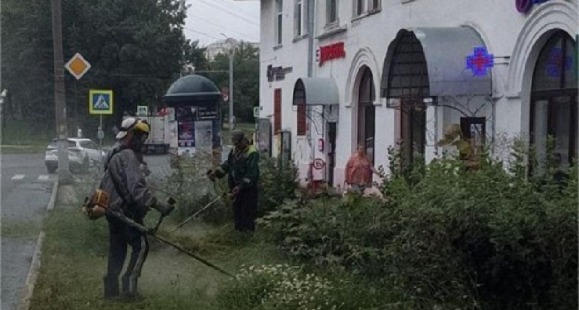 Коммунальщики косят траву на улицах Владимира