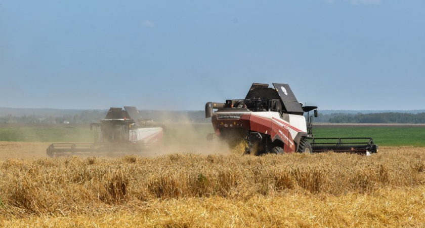 Уборочная кампания во Владимирской области перегнала по темпам прошлый сезон