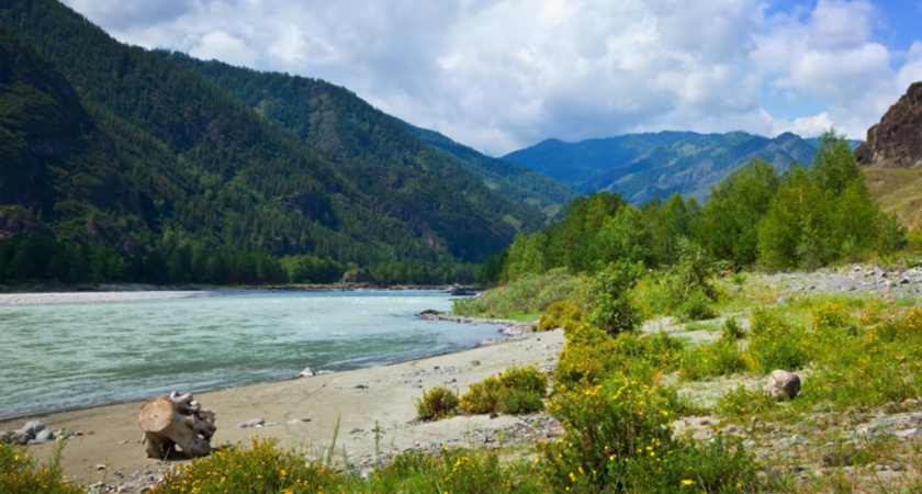 Российский турист хотел опровергнуть миф об обмане в Абхазии, но сам стал жертвой аферистов - честный отзыв