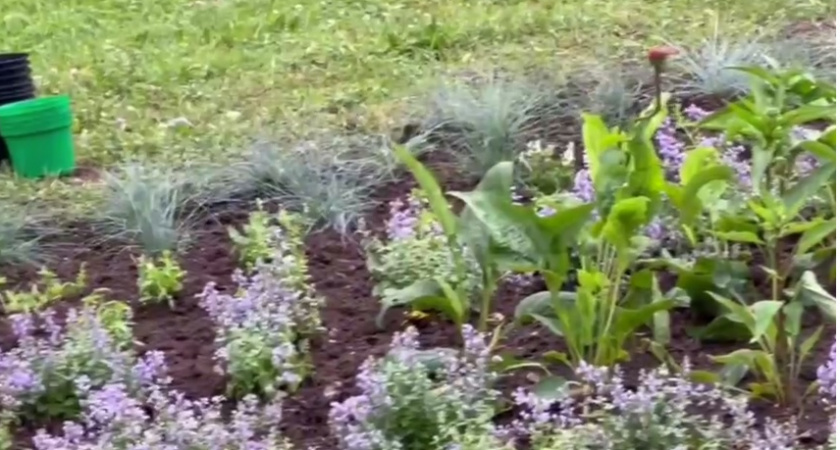 Во Владимире завершают благоустройство сквера Сперанского
