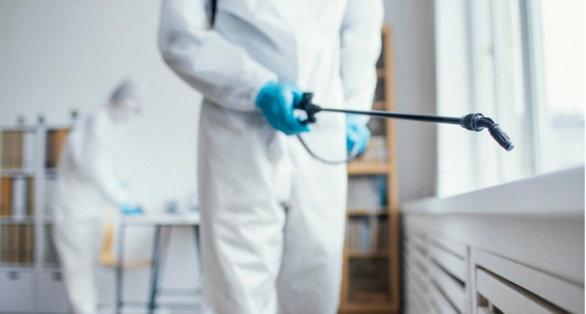 Тараканы исчезнут навсегда: копеечный фрукт избавит ваш дом от незваных гостей - невероятно простой метод