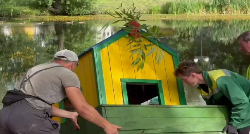 На Красносельском пруду во Владимире появились обновлённые домики для уток