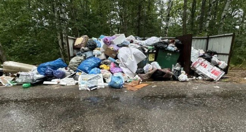 В Гороховецком районе наказали компанию за невывоз мусора