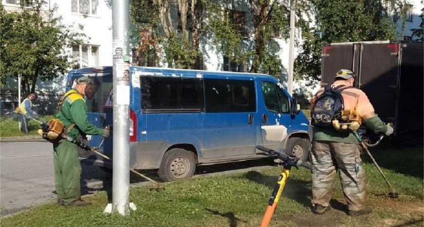 На улицах Владимира идёт плановый покос травы и удаление поросли