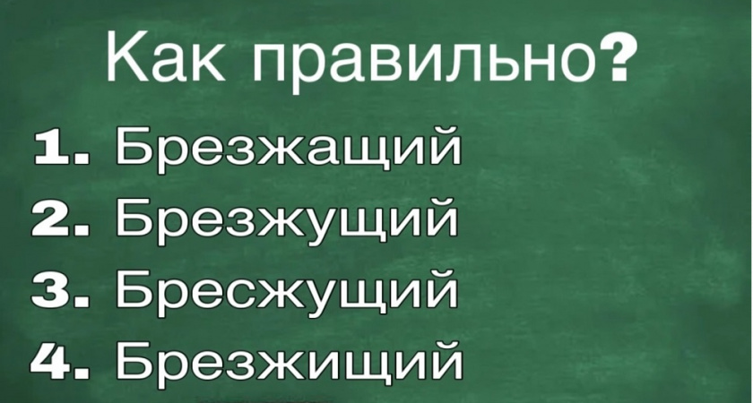 Каждый третий взрослый не знает правильное написание: определите свой уровень - тест на грамотность