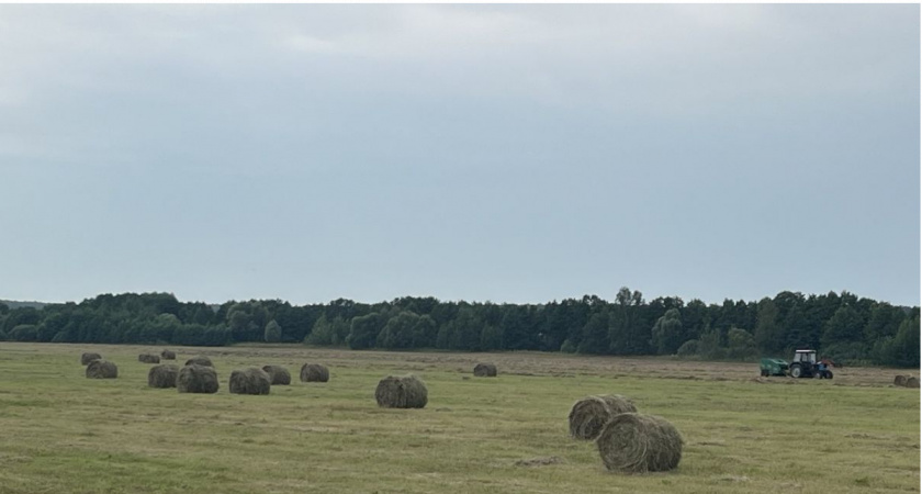 Айтуган Текегалиев: фермерские хозяйства смогут работать без образования юридического лица