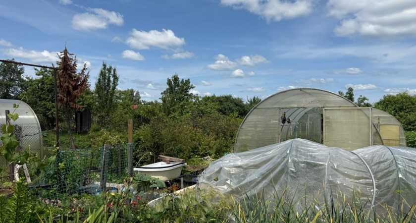 Что делать с грядками после уборки чеснока и лука: всего 35 минут - и супер плодородная почва на будущий год готова