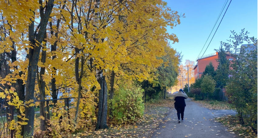 "Сентябрь будет аномальным". Синоптики сказали, что нас ждет этой осенью