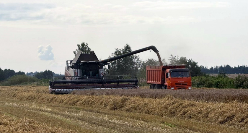 Уборочная кампания во Владимирской области идёт с опережением показателей прошлого года